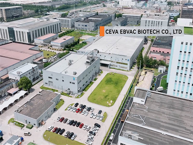 Пример проекта: Ceva Ebvac Biotech Co., Ltd