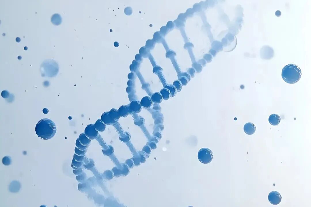 Шаньдун первый медицинский университет сотрудничает с Wiskind в строительстве высококачественной клеточной лаборатории